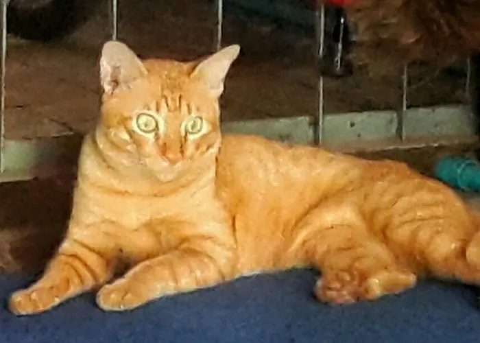 Affittacamere Café De Baan Raow 3*